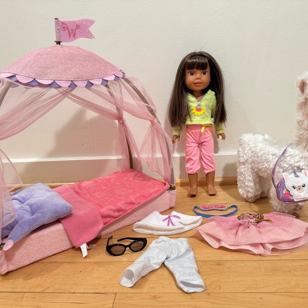American Girl Pink Ashlyn Doll Set with Accessories and Magical Llamacorn